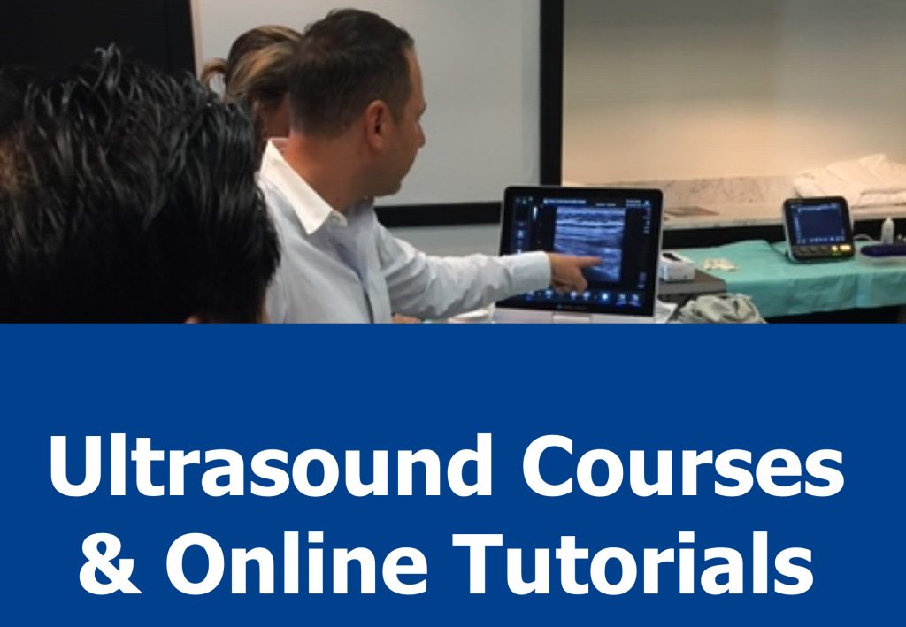 Ultrasound Interventional Pain Management Course